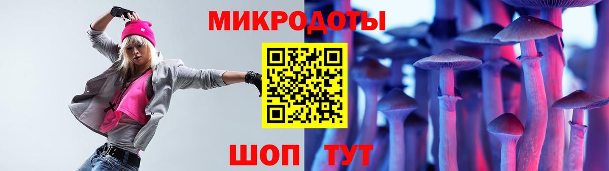 Псилоцибиновые грибы GOLDEN TEACHER Выборг