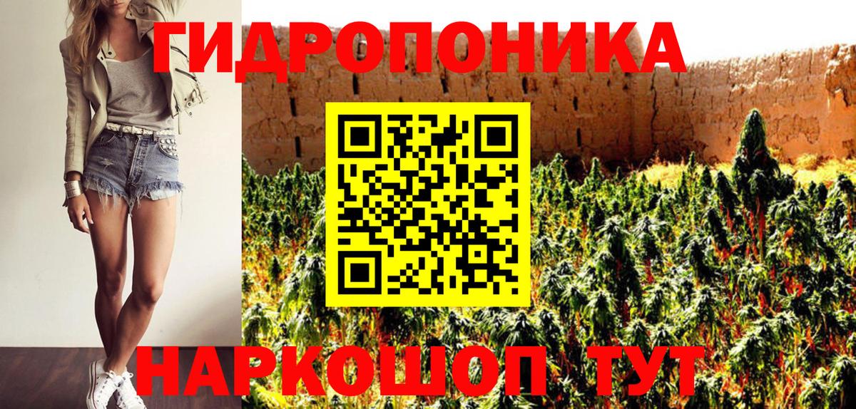 Бошки марихуана OG Kush  Канабис AK-47  Вход с VPN  Выборг  Конопля тримм  Конопля конопля 